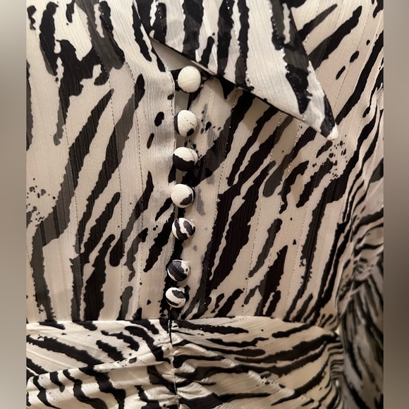 Zebra patterned Dress - Picture 2 of 9